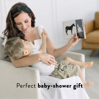 Baby's Black and White Contrast Book