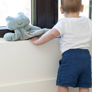 Big Buddy | Freddie the Frog