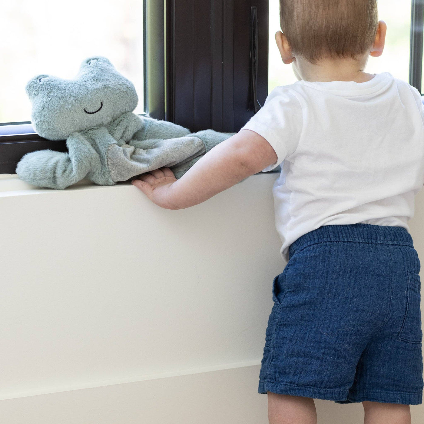 Big Buddy | Freddie the Frog