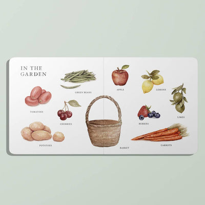 Our Big Book Of First Words