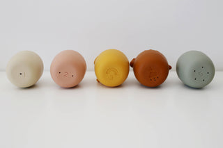 Animal Mold-Free Silicone Bath Toy Set