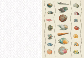 The Collage Compendium Image Book