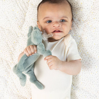 Pacifier Buddy  | Freddie the Frog