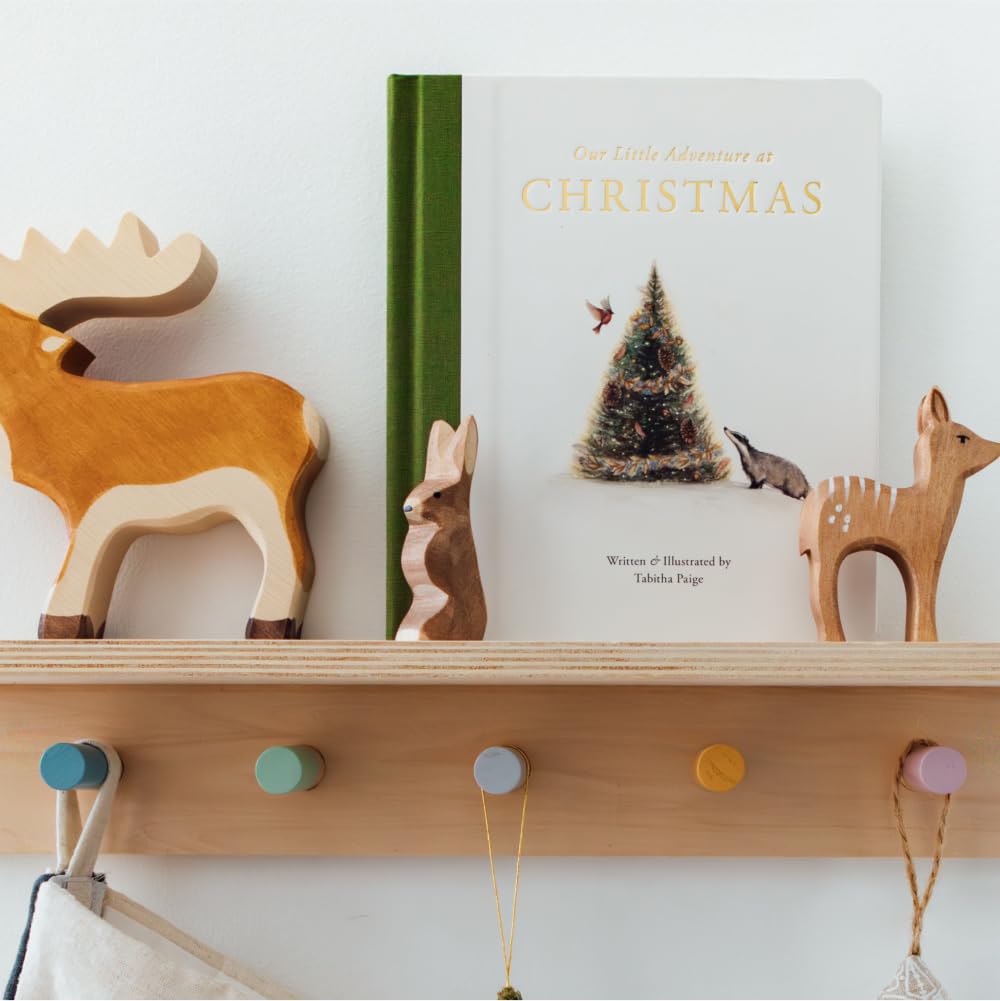 Our Little Adventure at Christmas Board Book
