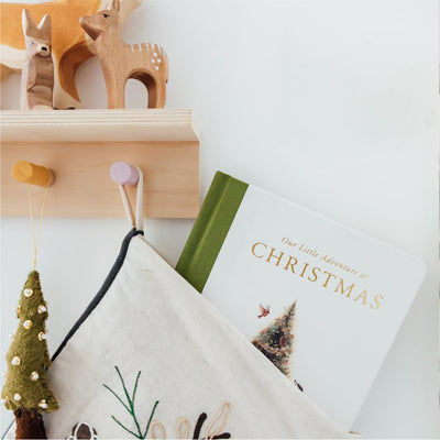 Our Little Adventure at Christmas Board Book