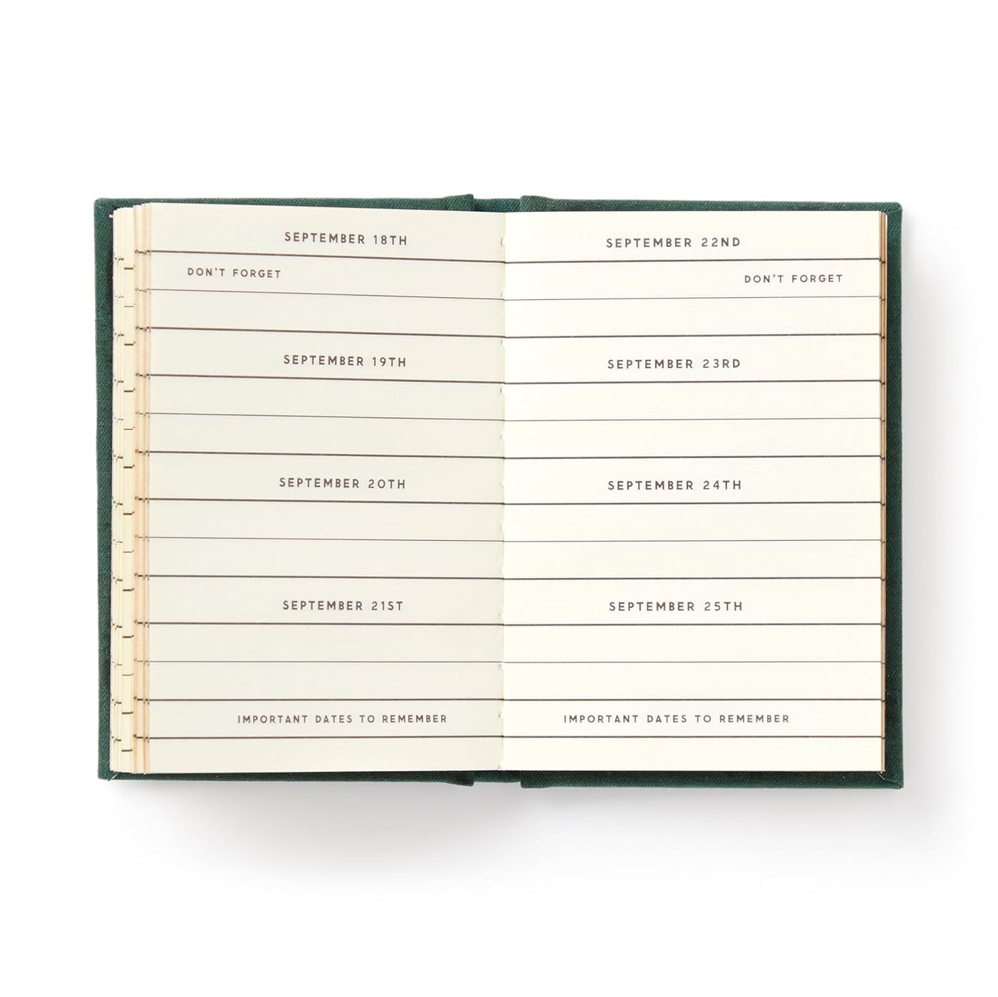 Dates People Get Mad if I Forget Tiny Diary