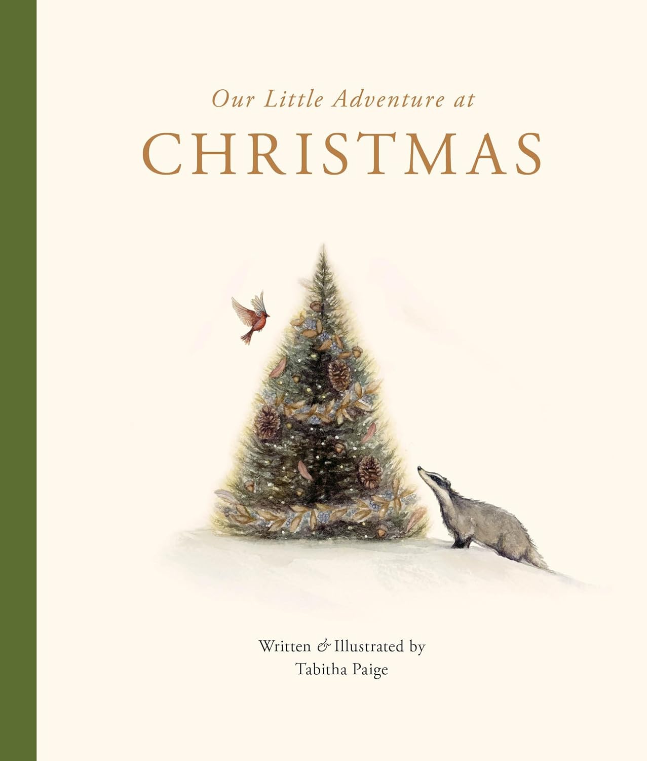Our Little Adventure at Christmas Board Book