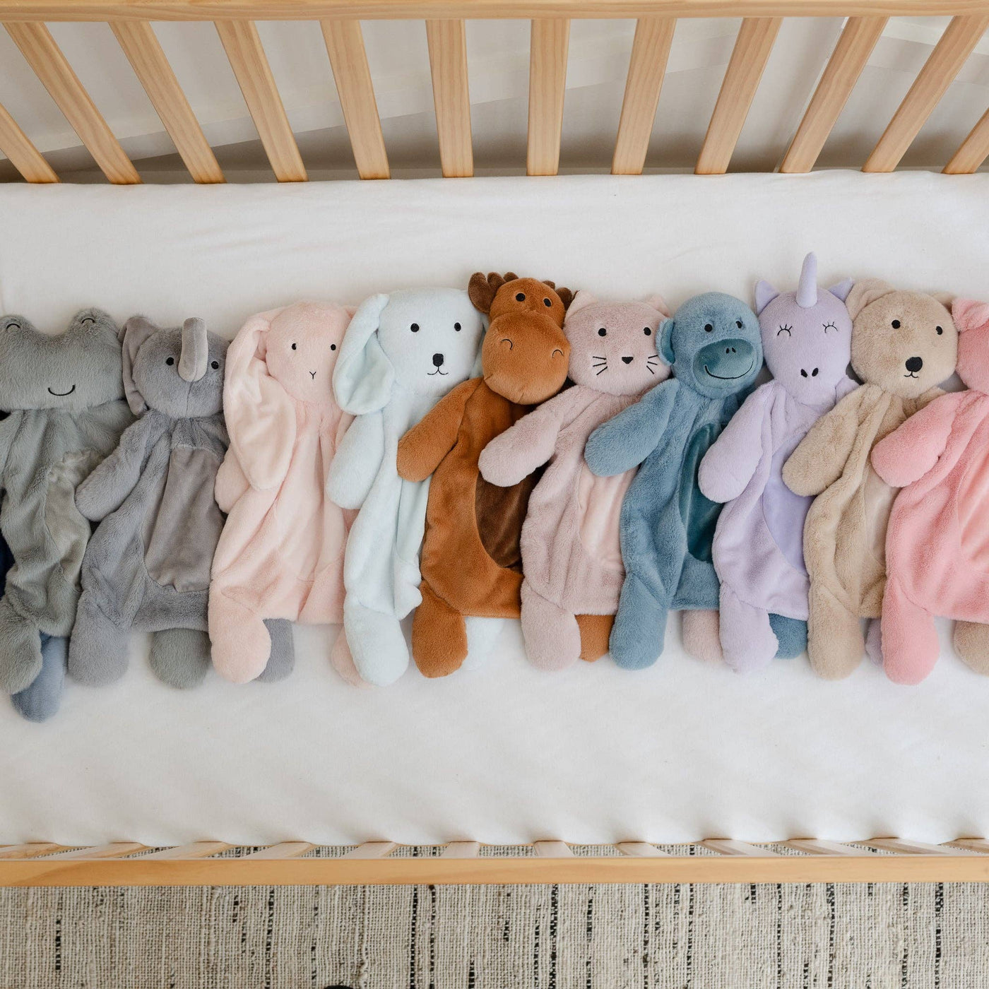 Big Buddy | Charlotte the Cat