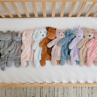 Big Buddy | Charlotte the Cat