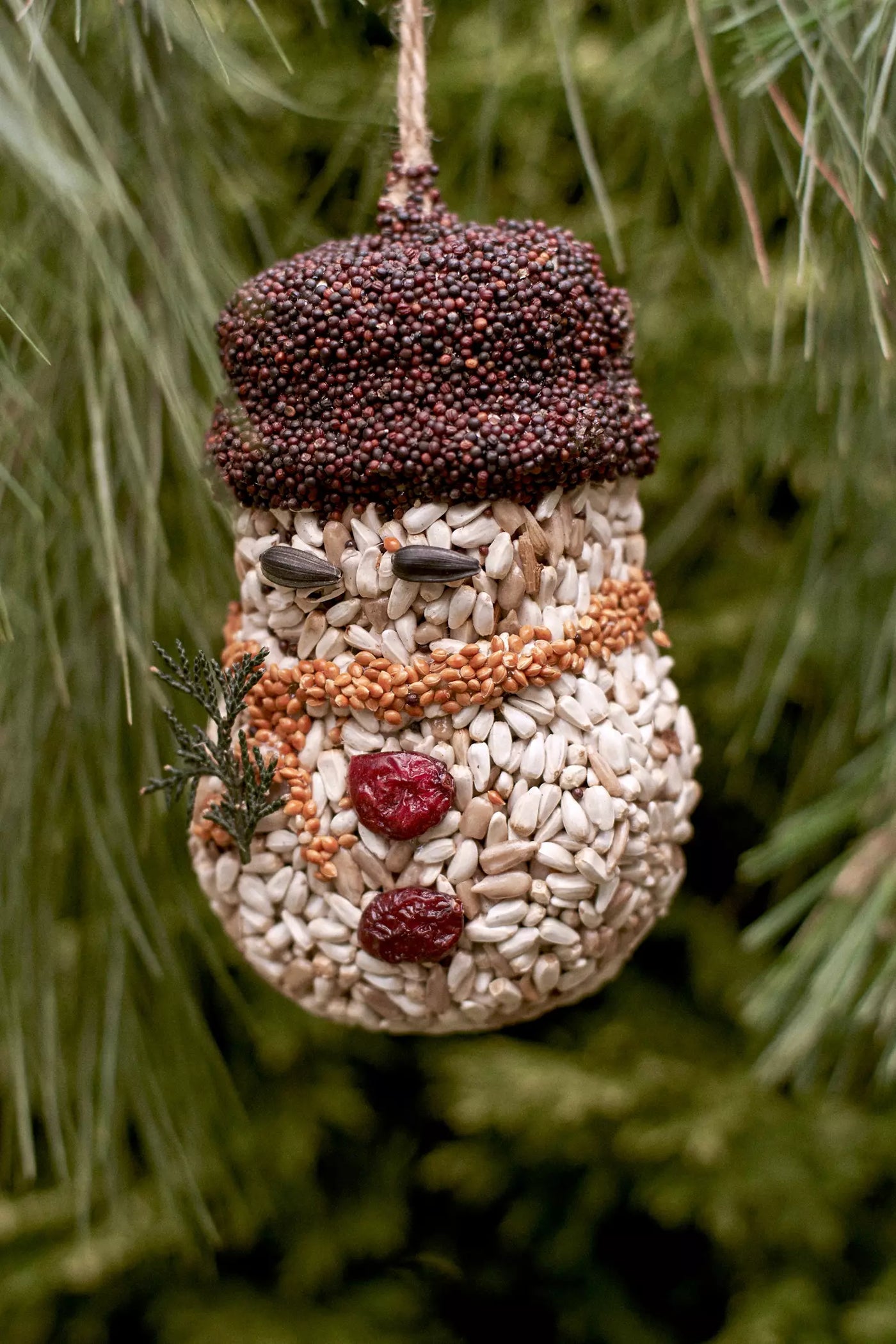 Holiday Icon Bird Seed Ornament