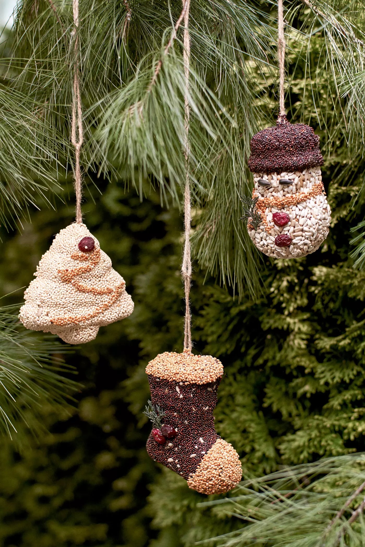 Holiday Icon Bird Seed Ornament