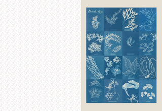 The Collage Compendium Image Book