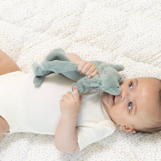 Pacifier Buddy  | Freddie the Frog
