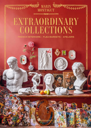 Extraordinary Collections Book
