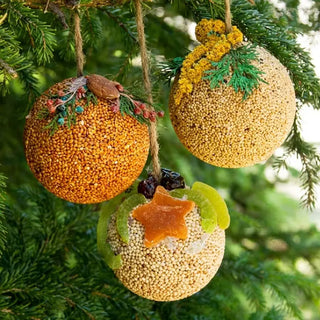 Holiday Bird Seed Ornaments