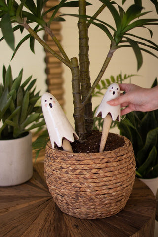 Ceramic Ghost Plant Sticks