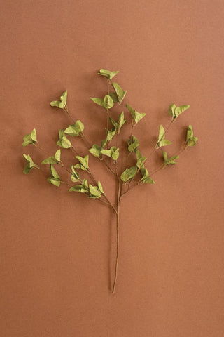 A dried artificial eucalyptus branch with small light green leaves.