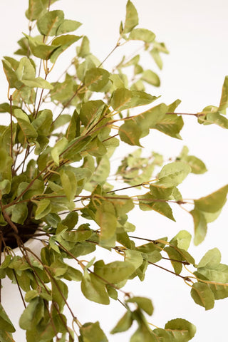 Faux Green Leaf Steam