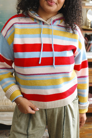 Pinky Striped Knit Hoodie