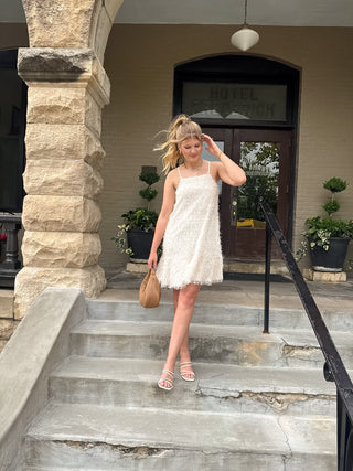 Aspen Eyelash Fringe Dress