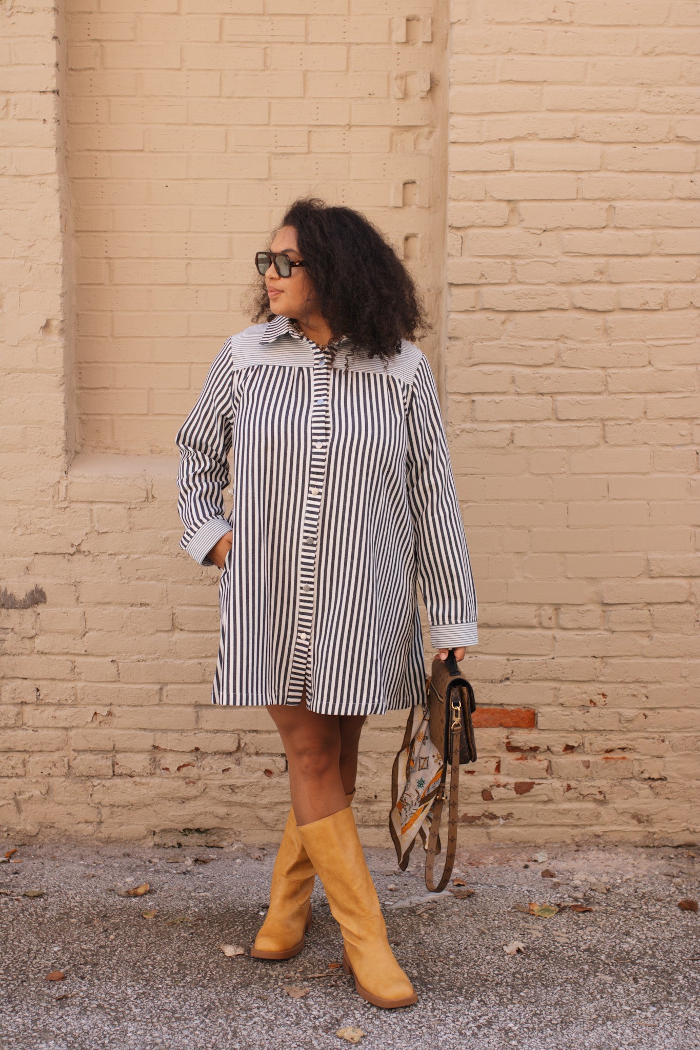 Emery Striped Shirt Dress