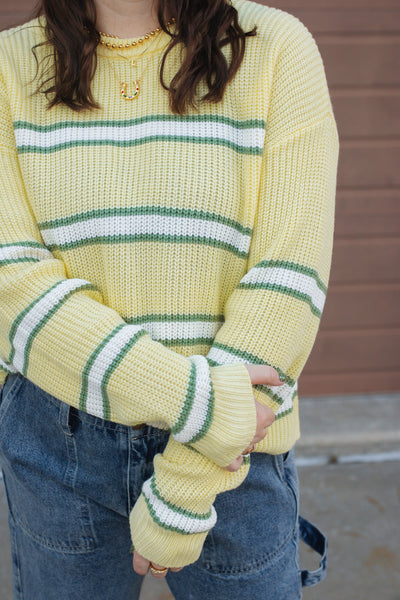 Sunny Lane Striped Knit Sweater