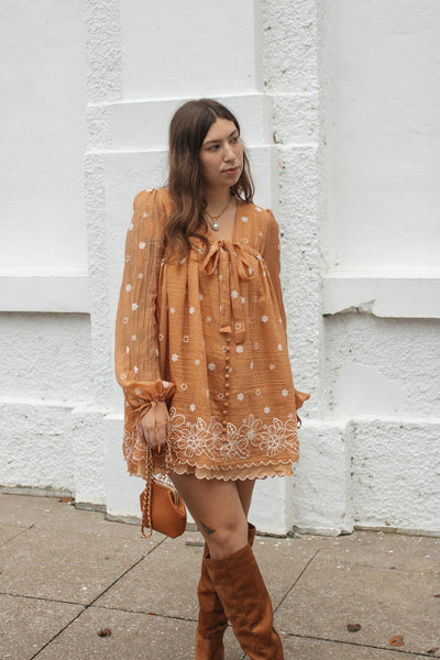 Janie Embroidered Tie-Front Mini Dress