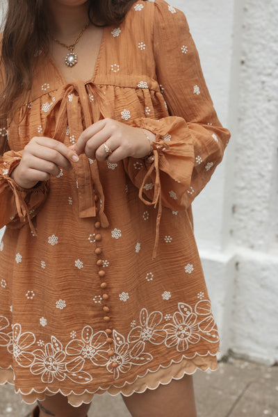 Janie Embroidered Tie-Front Mini Dress