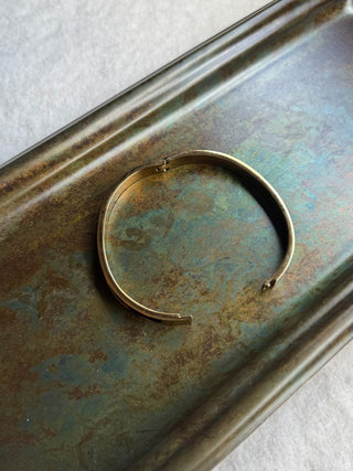 Reilly Tortoise Hinged Bangle