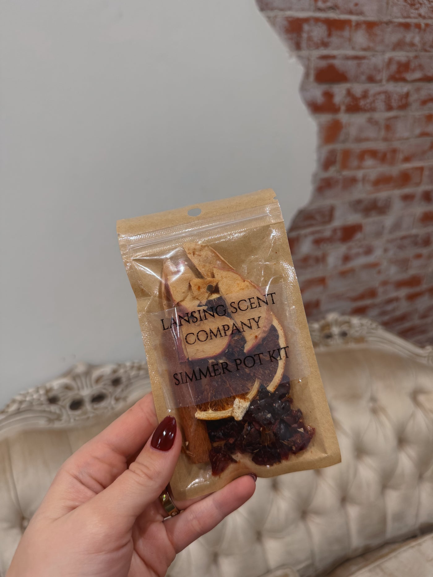 Mini Simmer Pot Kit | Holiday Cheer