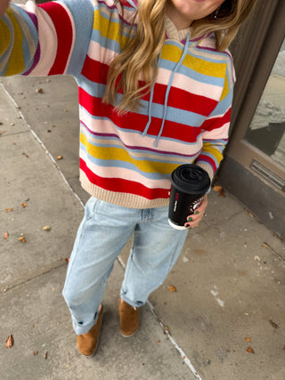 Pinky Striped Knit Hoodie