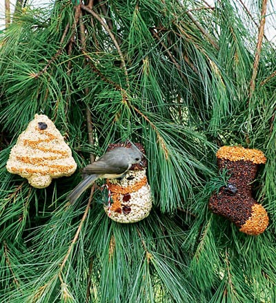 Holiday Icon Bird Seed Ornament