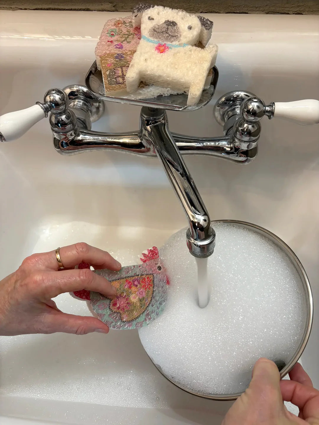 Cottage Puff Up Sponges