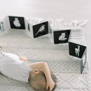 Baby's Black and White Contrast Book