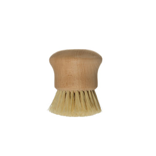 Beech Wood Dish Brush