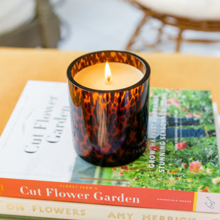 Sweet Grace 10oz Tortoise Candle