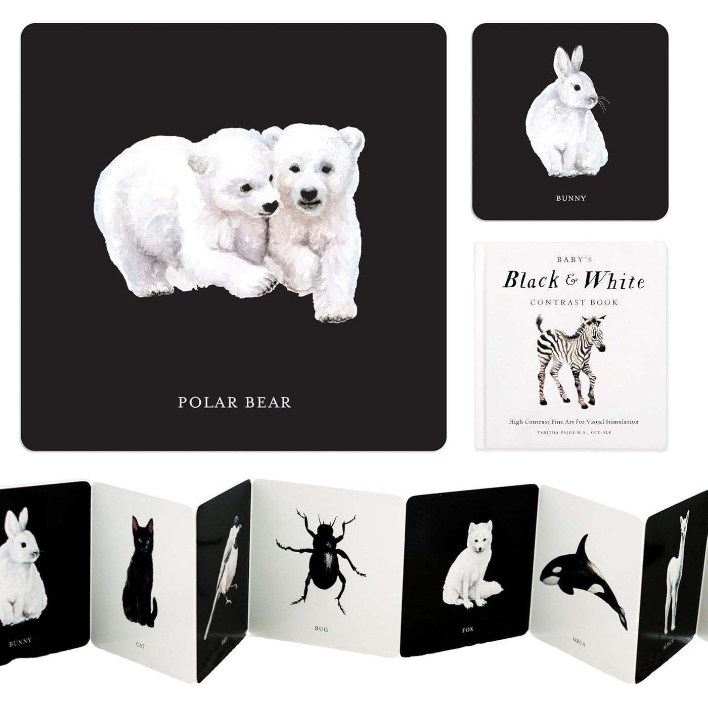 Baby's Black and White Contrast Book