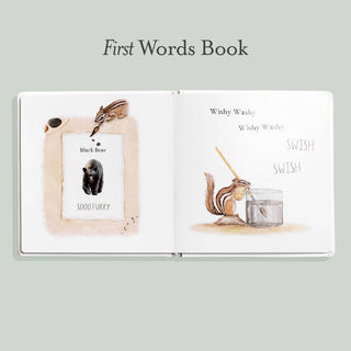 Wishy Washy | First Words and Colors Book