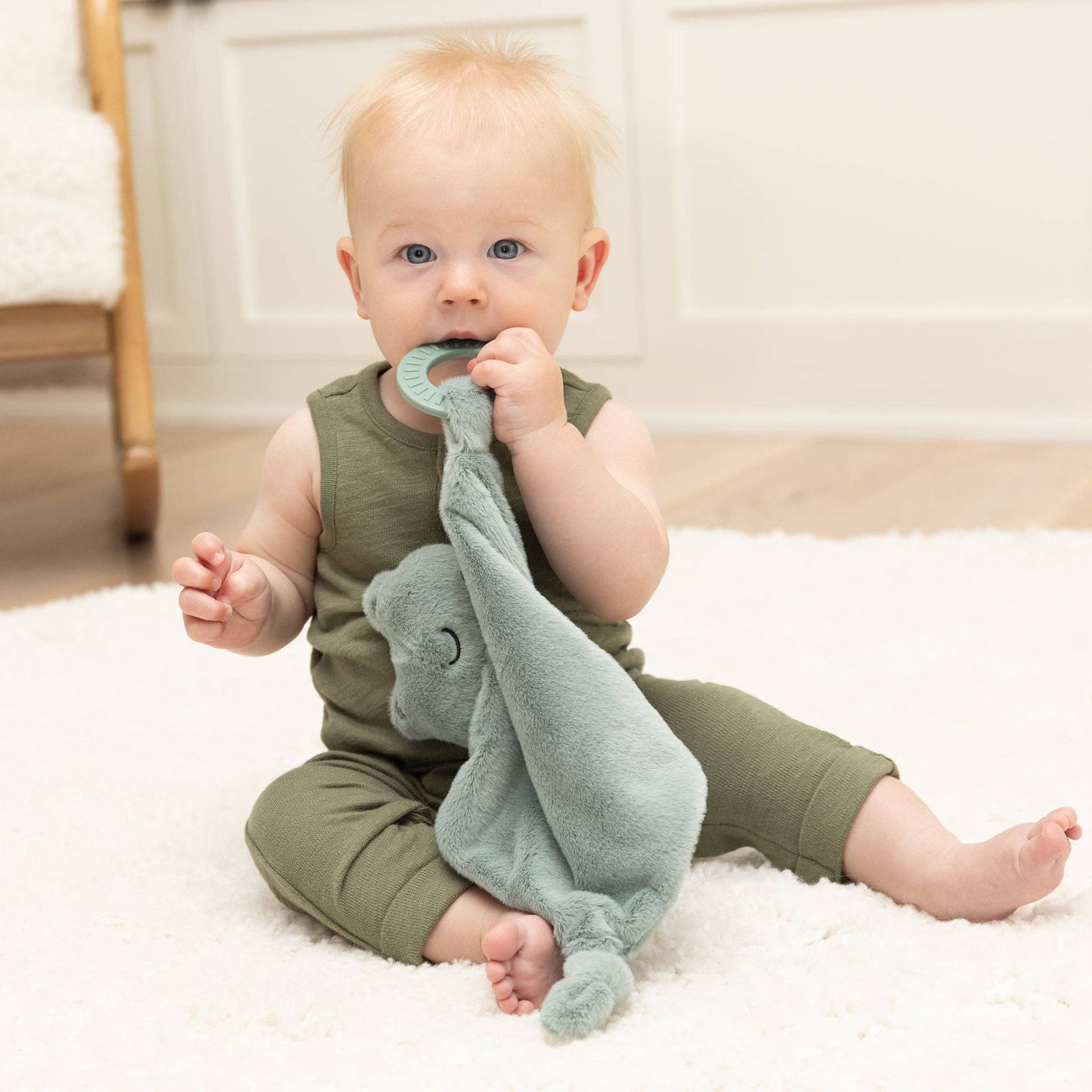 Teether Buddy | Freddie the Frog