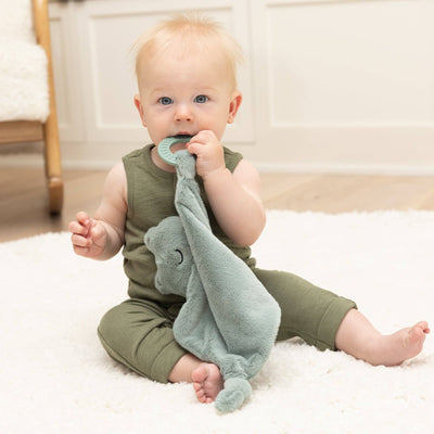 Teether Buddy | Freddie the Frog