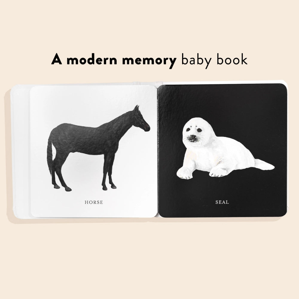 Baby's Black and White Contrast Book