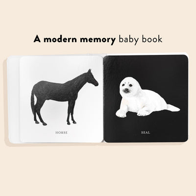 Baby's Black and White Contrast Book