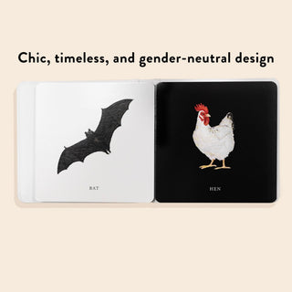 Baby's Black and White Contrast Book