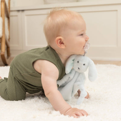 Pacifier Buddy | Danny the Dog