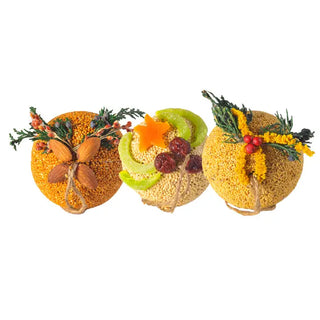 Holiday Bird Seed Ornaments