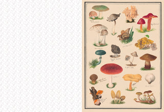 The Collage Compendium Image Book