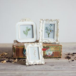 Vintage Inspired Baroque Frame