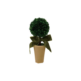Dried Boxwood Tree with Green Velvet Bow