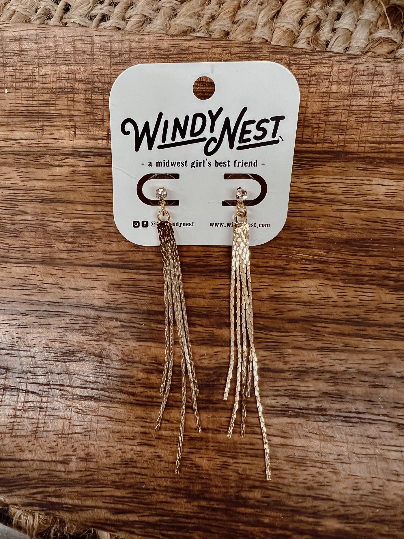 Snake Chain Fringe Earrings